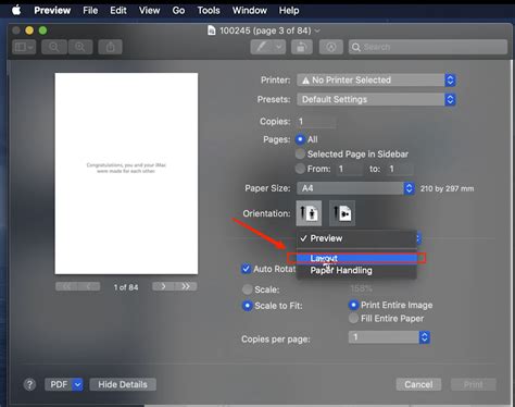 How to Print a PDF Double Sided: A Comprehensive Guide with Insightful Views